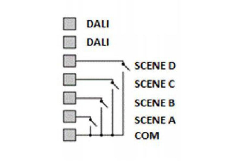 Lunatone Szenen-Control Modul DALI SC-A - 24138906