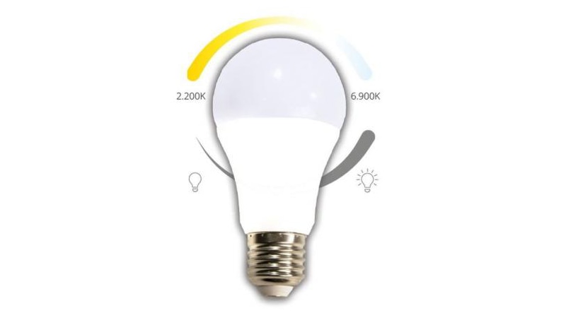 LED Lamps & LED Bulbs